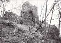 Osek - hrad Rýzmburk